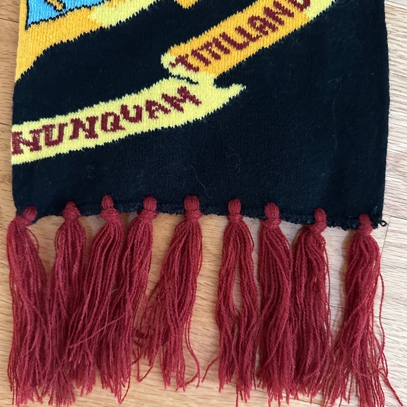Harry Potter Hogwarts Crest Knit Scarf with Tassels - Picture 7 of 12